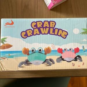 Crab crawling